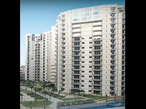 WhatsApp Image 2025-12-18 at 4.31.13 PM